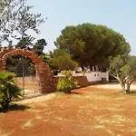 Dracena