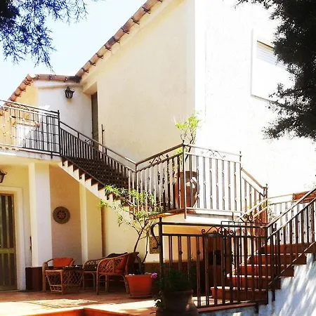 Dracena Kır Evi *