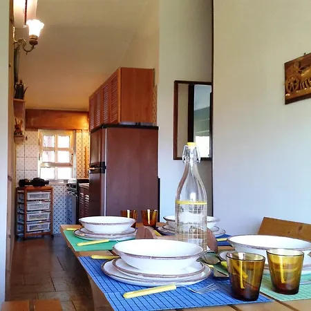 Dracena Kır Evi *
