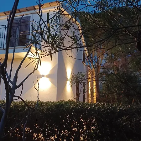 Dracena Kır Evi