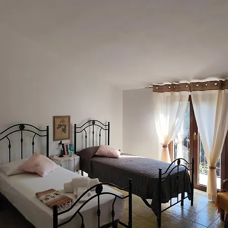 Dracena 카스텔루치오