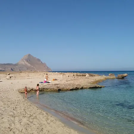 Dracena 카스텔루치오