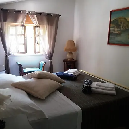 Dracena Kır Evi