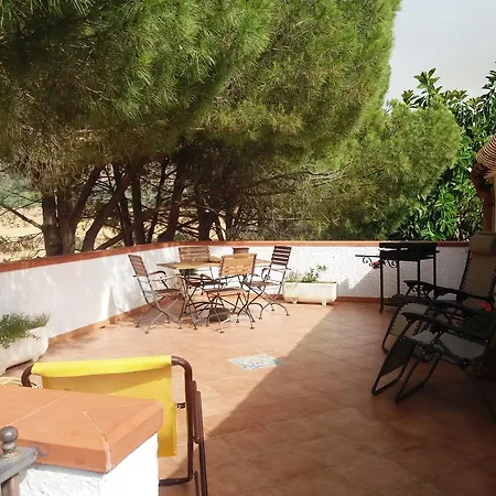 Kır Evi Dracena