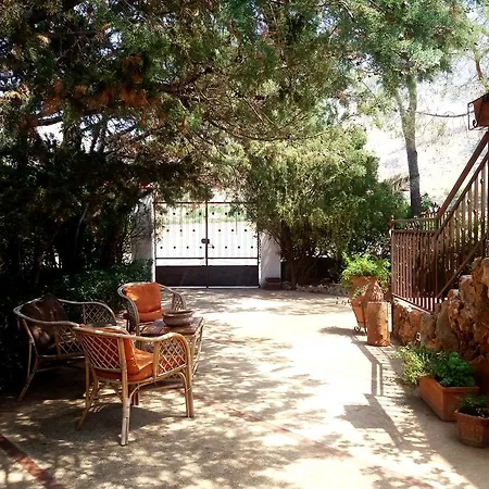 Dracena 카스텔루치오