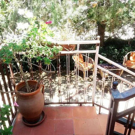 Dracena * Castelluzzo