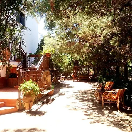 Kır Evi Dracena