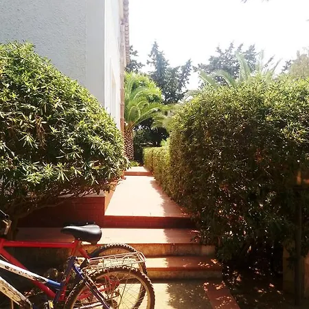 Kır Evi Dracena