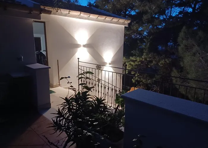 Dracena 卡斯泰卢佐