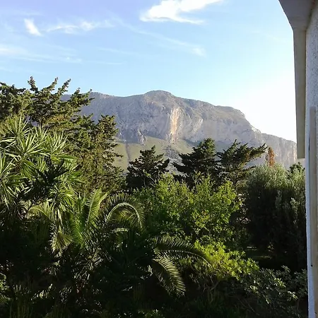 Dracena Castelluzzo