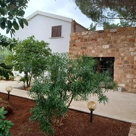 Dracena * Castelluzzo