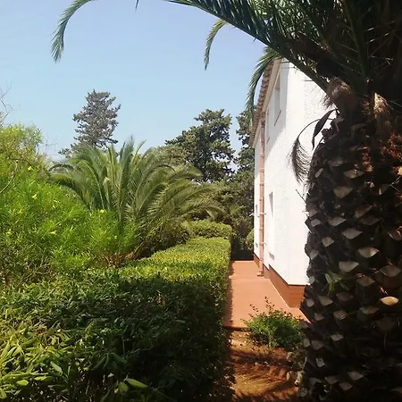 Dracena * Castelluzzo