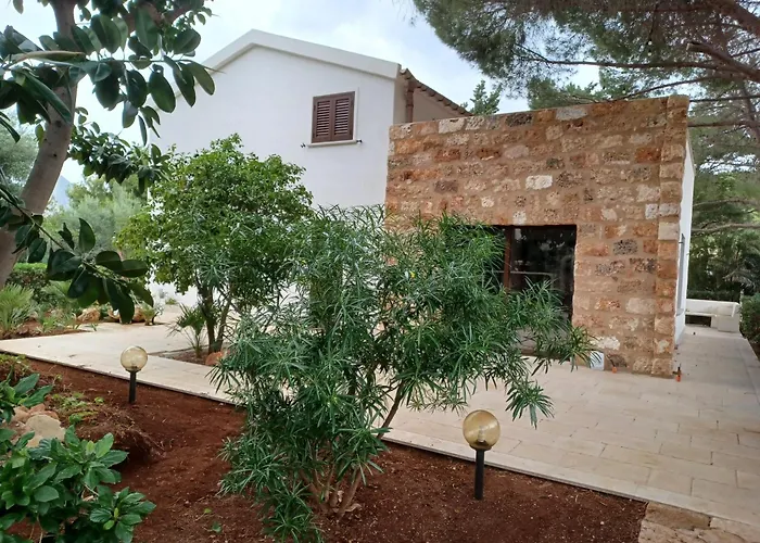 Dracena * Castelluzzo